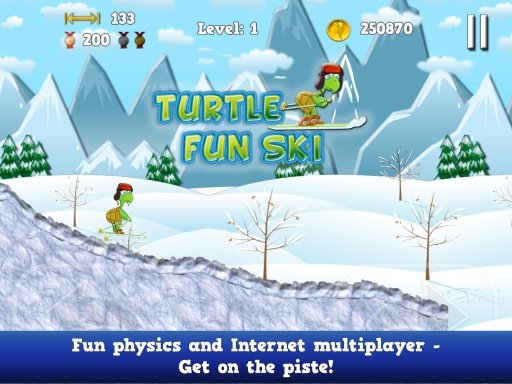 Turtle Fun Ski - Downhill截图8