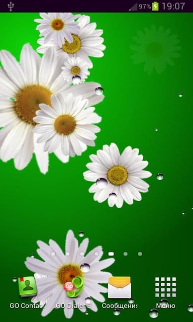 Daisy live wallpaper截图2