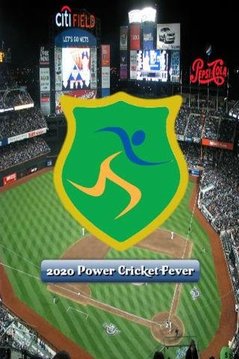 2020 Power Cricket Fever截图