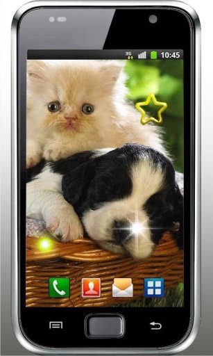 Cute Puppy Best live wallpaper截图6