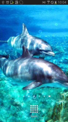 Dolphins with Bubbles LWP截图6