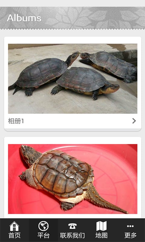 龟鳖养殖截图3