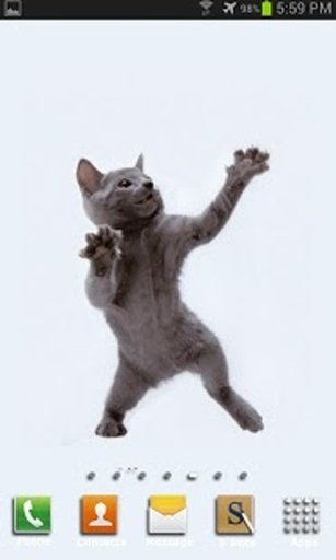 Dancing Cat截图1