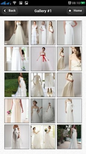 Maternity Wedding Dresses截图7