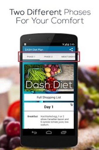 DASH Diet Plan截图1
