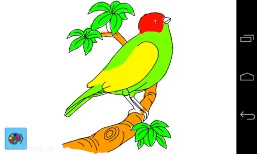 Coloring Animal Birds Games截图3