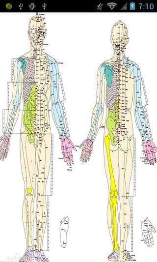 全身经络示范图截图1
