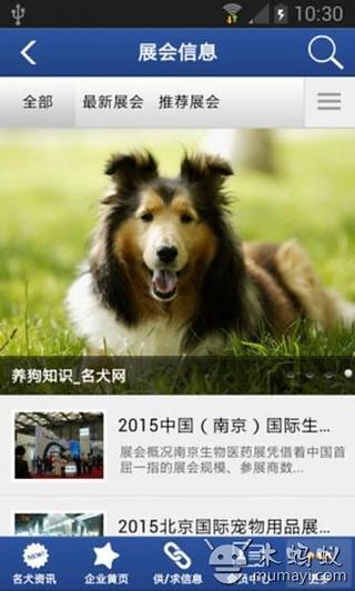 名犬门户截图1