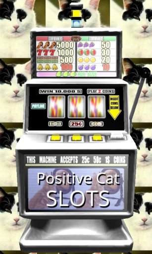 Positive Cat Slots - Free截图4