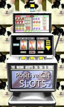 Positive Cat Slots - Free截图