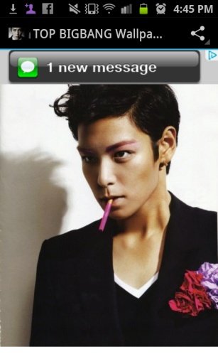 TOP Bigbang 2013 Wallpaper截图10