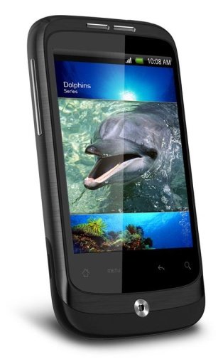 Dolphin Cup 3D Live Wallpaper截图1