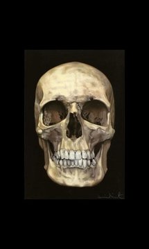 Skull Live Wallpaper 1截图