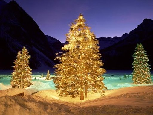 Live Christmas Night Wallpaper截图4