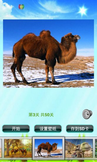 骆驼拼图儿童益智游戏截图5