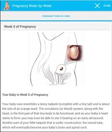 Pregnancy Week-by-Week截图3