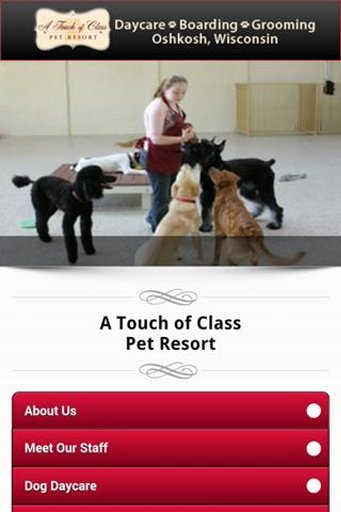 A Touch of Class Pet Resort截图1