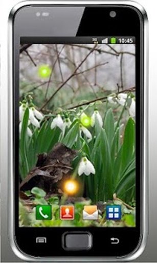 Snowdrop Spring live wallpaper截图5