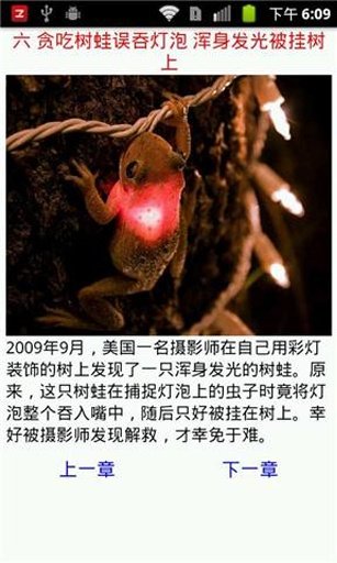 动物世界吃货专家截图2