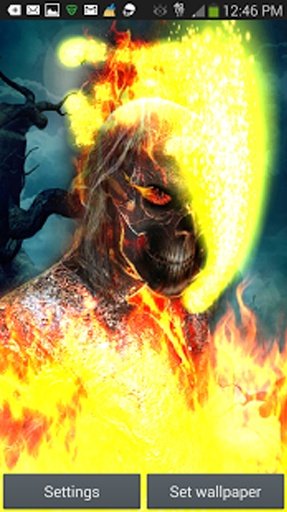 Ghost Rider Skull Fire LWP截图4