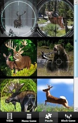 Deer Jungle Hunting 2014截图5