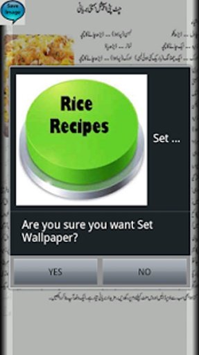 Rice Recipes In Urdu截图4