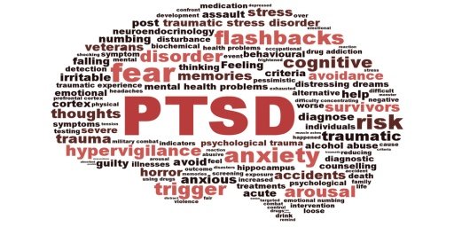 Post_Traumatic_Stress_Disorder截图4