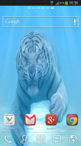 White Tiger Live Wallpaper Tap截图1