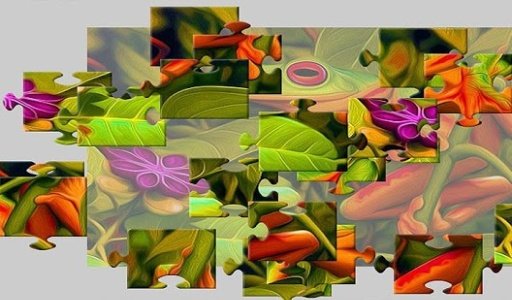 Green frog jigsaw puzzle Game截图5