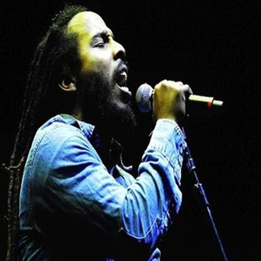 Bob Marley Songs截图3