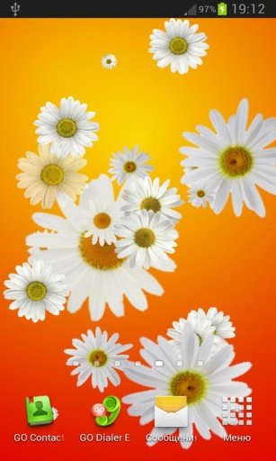 Daisy live wallpaper截图4