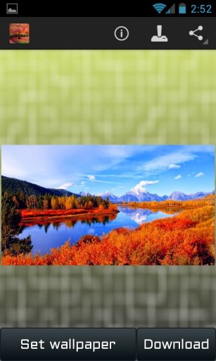 Autumn Wallpapers截图6