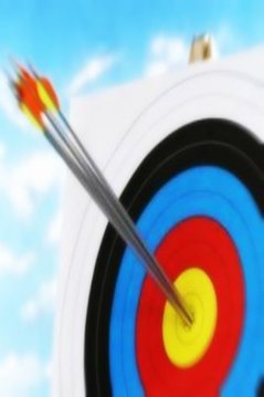 Archery Game Master Tournament截图