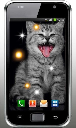 Pet Kitty photo Live Wallpaper截图1