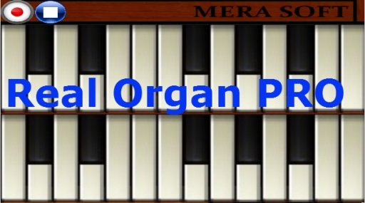 Real Organ截图1