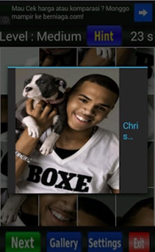Chris Brown Lil Wayne Loyal截图7