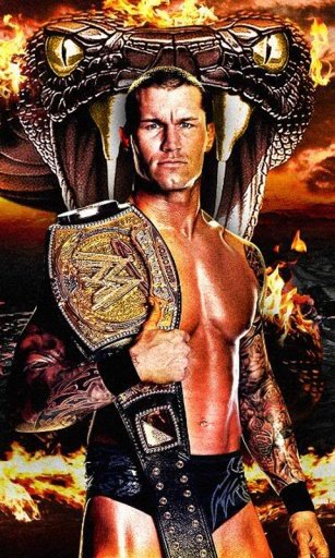 Randy Orton Wallpapers截图2