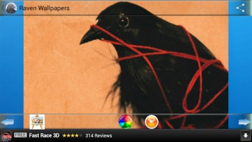 Raven Wallpapers截图3