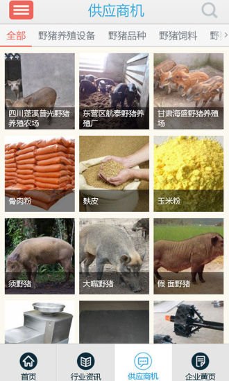 中国野猪网截图8