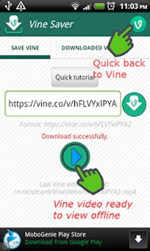 VineSaver (save Vine video)截图7