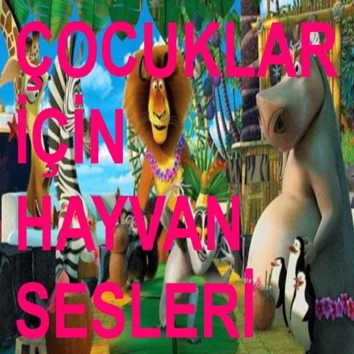 Cocuk Oyunu Hayvan Sesleri截图1