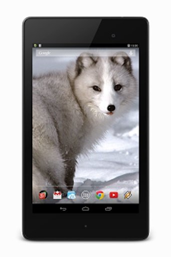 Arctic Fox截图5