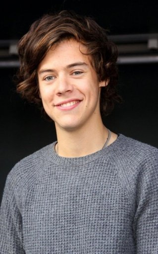 Harry Styles Games截图3