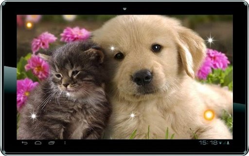 Puppy Best Free Live Wallpaper截图3