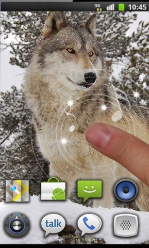 Wolf Best HD live wallpaper截图3