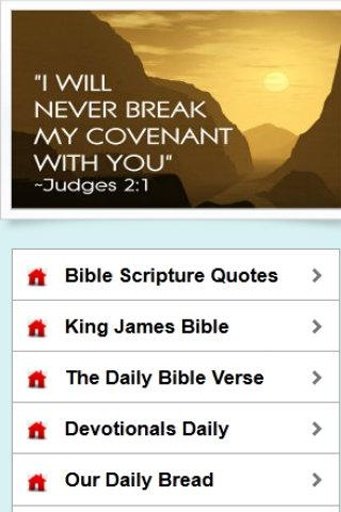 daily Bible quotes chat截图2