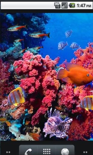 Underwater Fish World LWP截图1