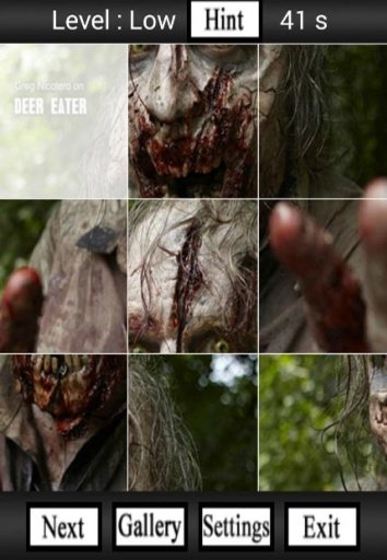 The Walking Dead Puzzle截图1