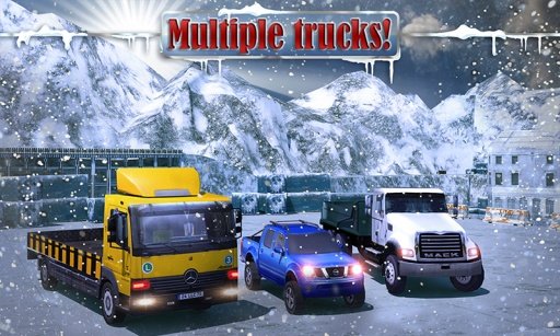 4x4 Winter Snow Drive 3D截图3