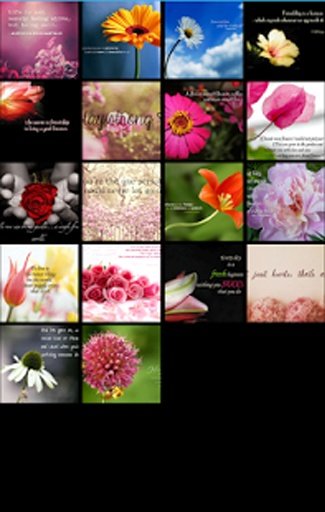 Flower Photo Frames HD截图1